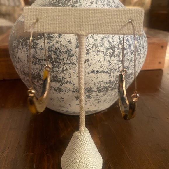 Tortoise Oval Hoop with Good Accent - Picture 3 of 3